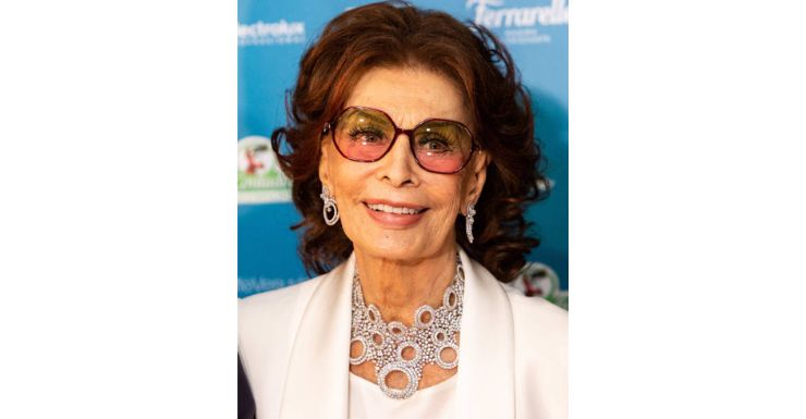 Sophia Loren's Emergency Surgery After Bad Fall: The Road to Recovery