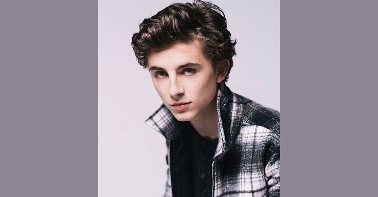 Timothée Chalamet: A Rising Star in Hollywood