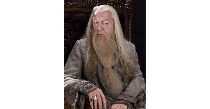 Remembering Sir Michael Gambon: The Legendary Dumbledore of Harry Potter